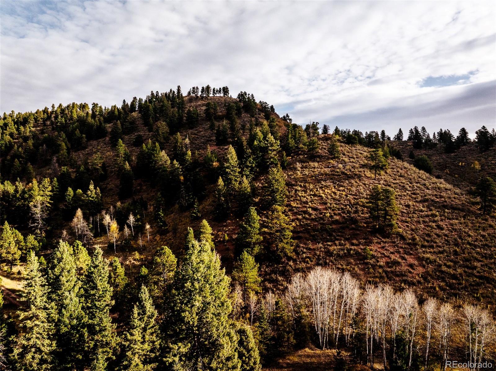 1342 Old Crystola Canyon Road Woodland Park CO 80863