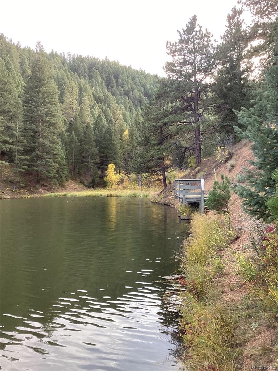 1342 Old Crystola Canyon Road Woodland Park CO 80863