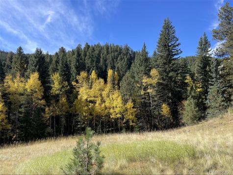 1342 Old Crystola Canyon Road Woodland Park CO 80863