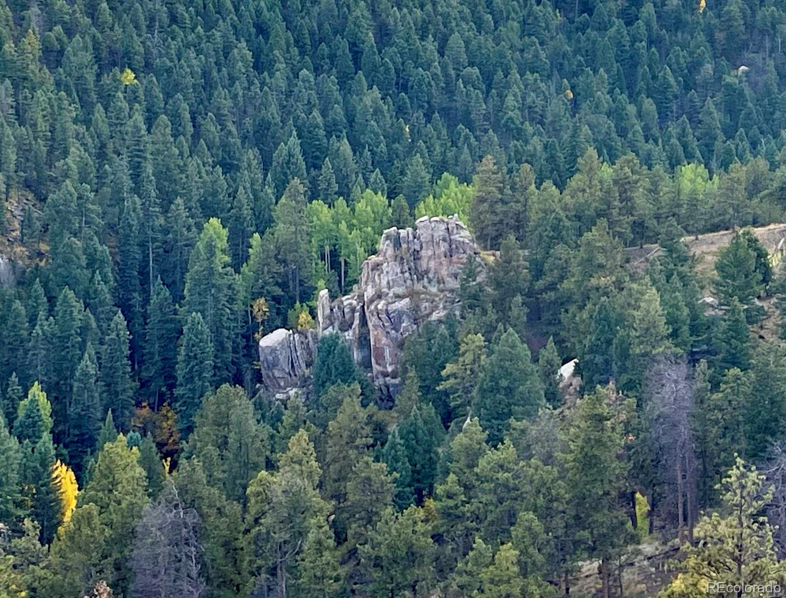 1342 Old Crystola Canyon Road Woodland Park CO 80863