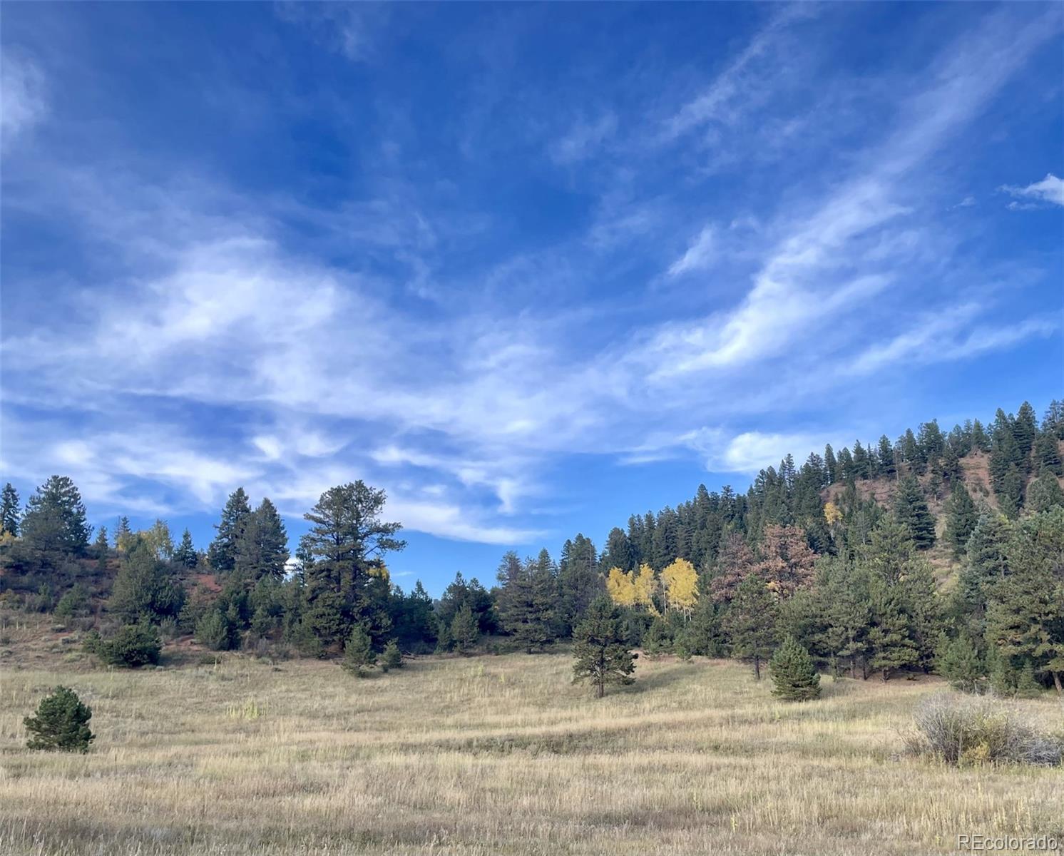 1342 Old Crystola Canyon Road Woodland Park CO 80863