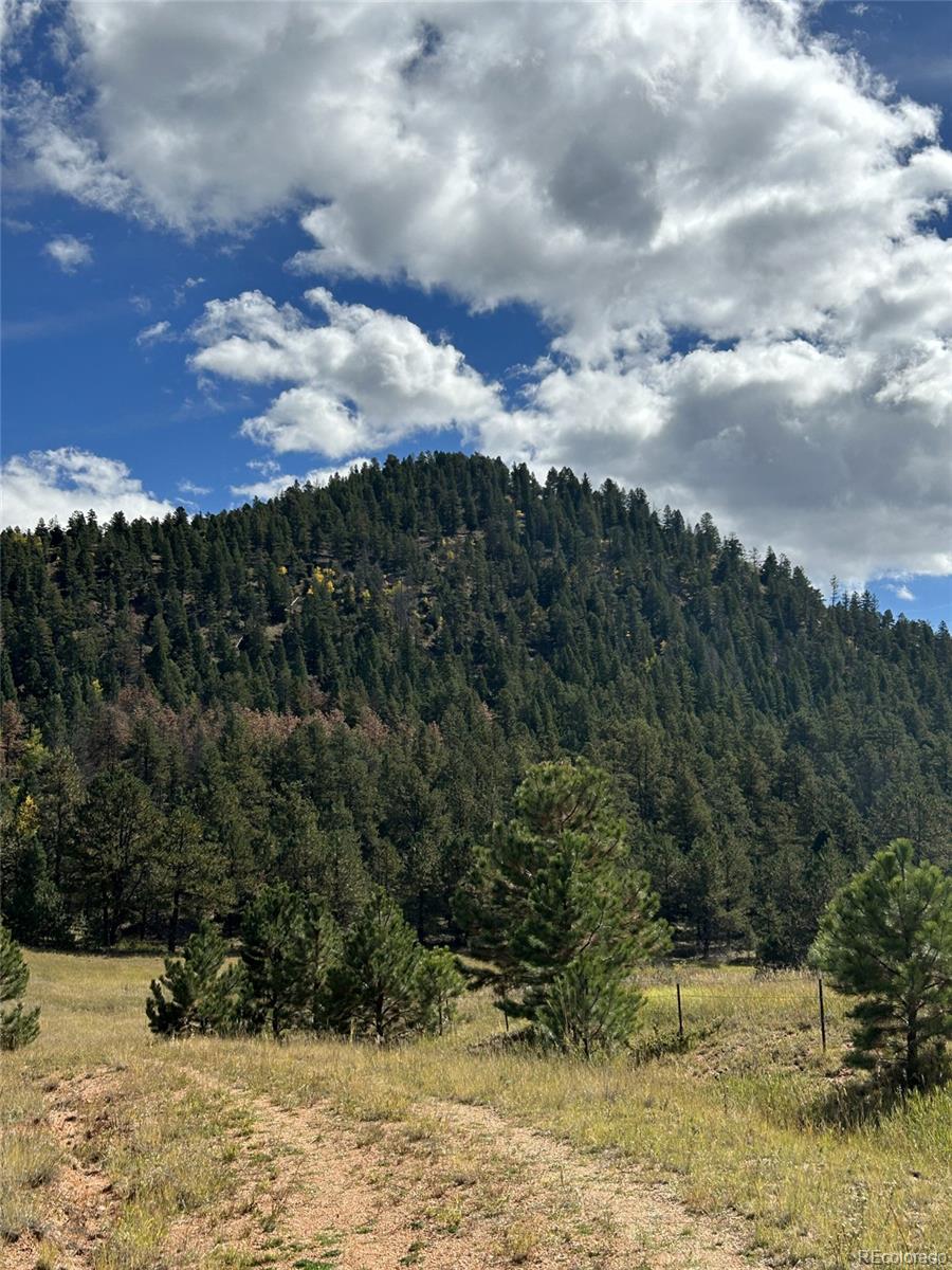 1342 Old Crystola Canyon Road Woodland Park CO 80863