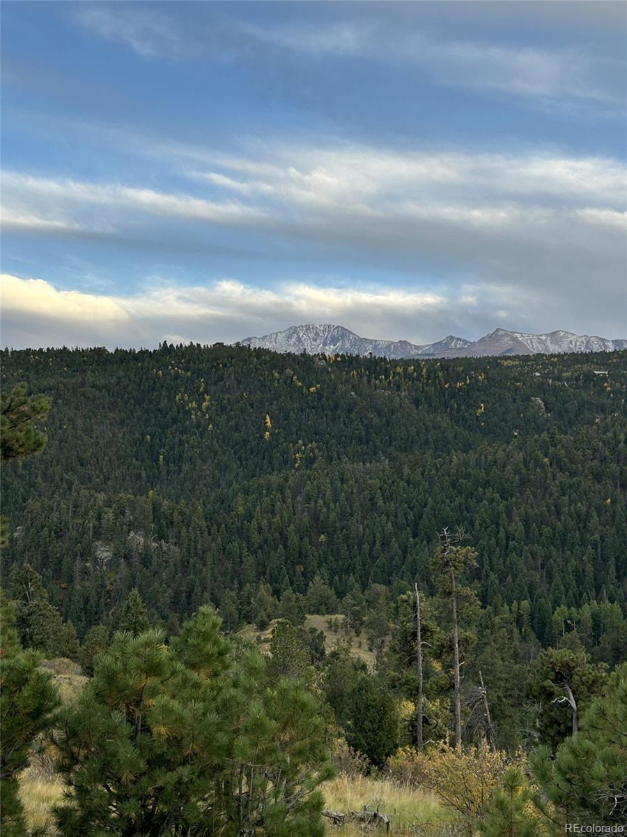 1342 Old Crystola Canyon Road Woodland Park CO 80863