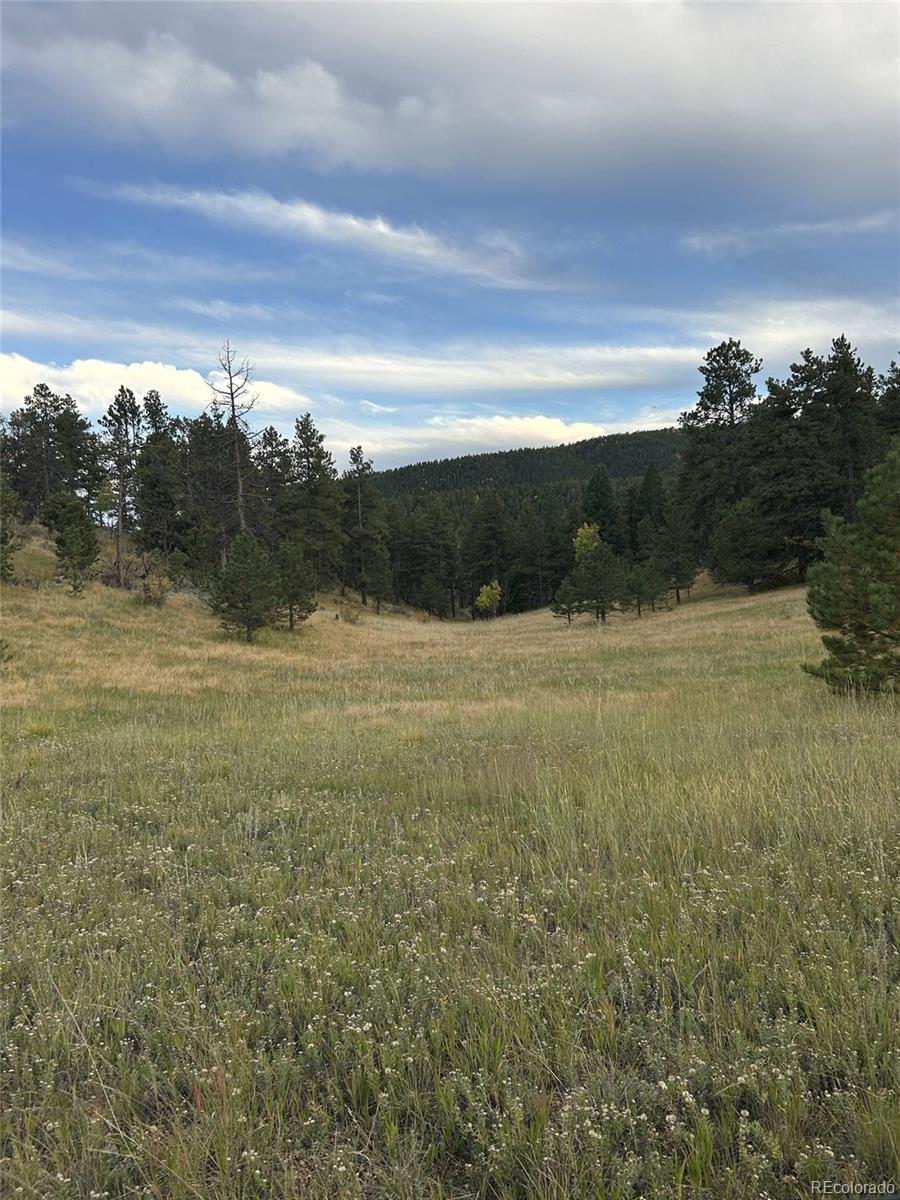 1342 Old Crystola Canyon Road Woodland Park CO 80863