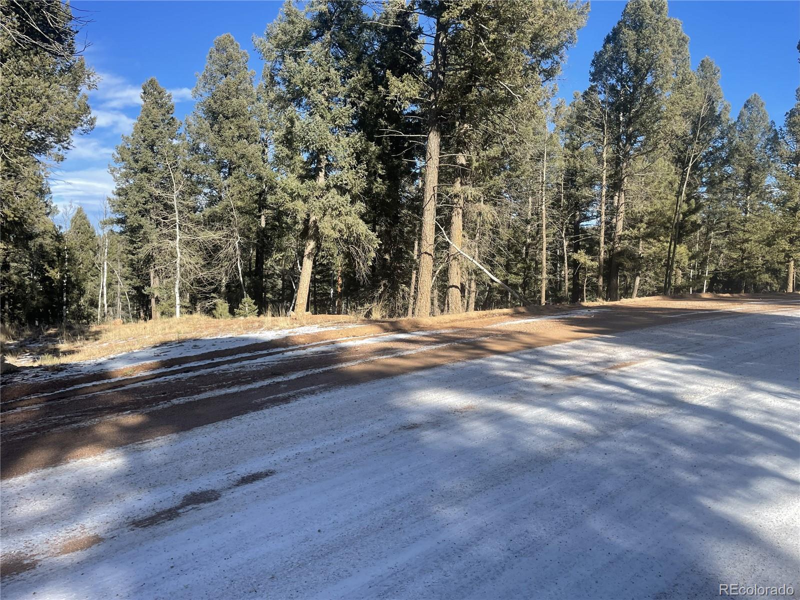 1873 N Mountain Estates Road Florissant CO 80816