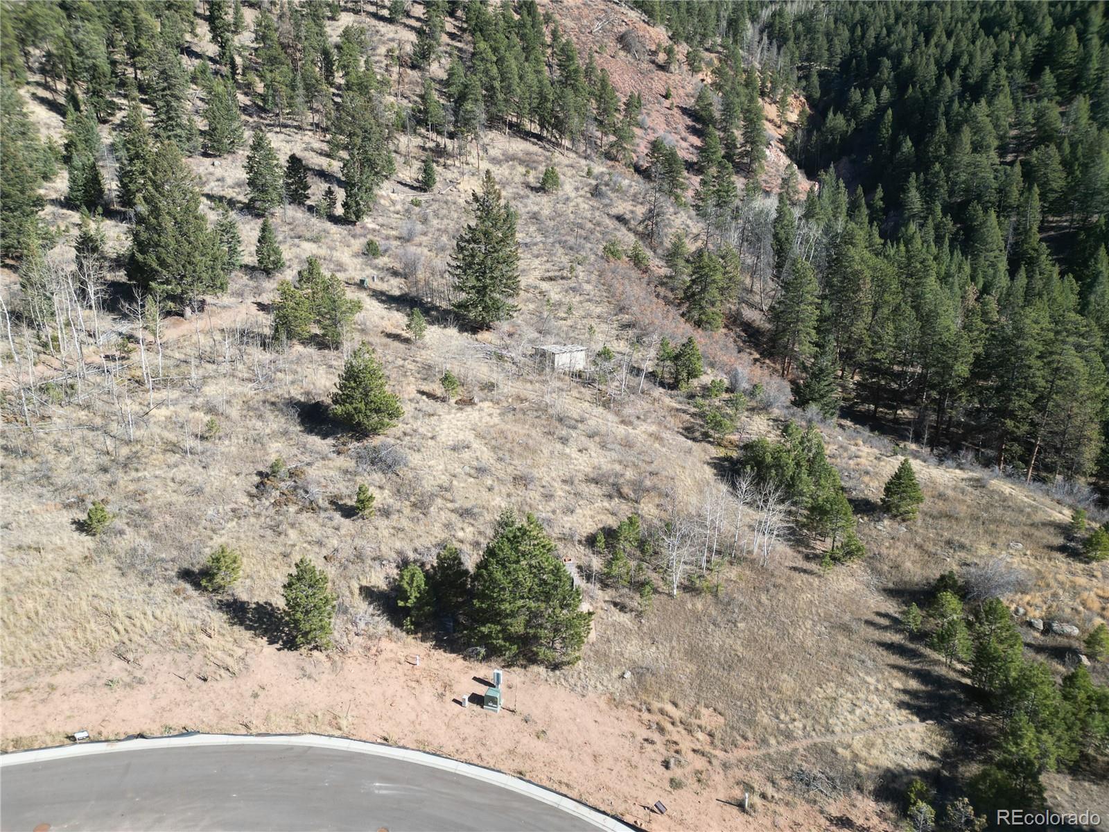 18 Blue Haven Place Woodland Park CO 80863
