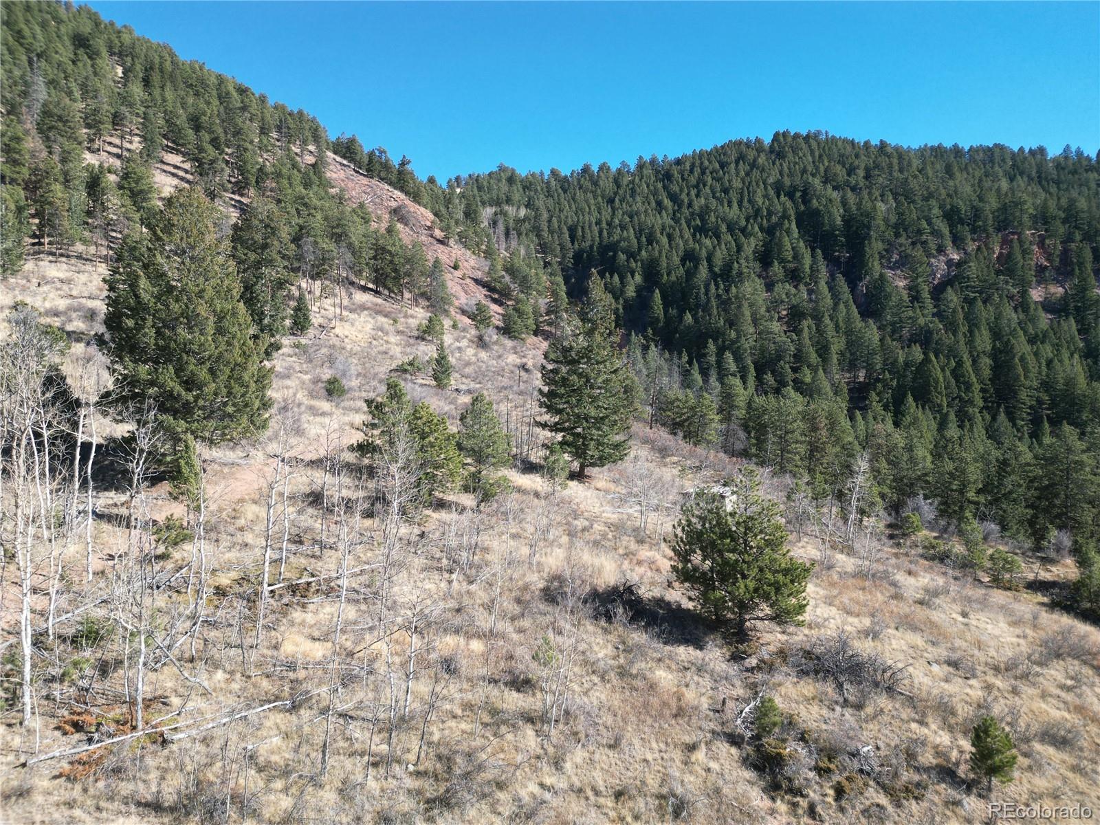 18 Blue Haven Place Woodland Park CO 80863
