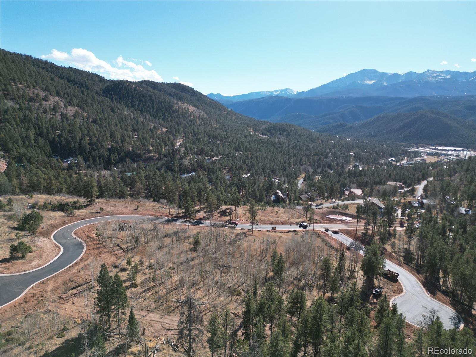 18 Blue Haven Place Woodland Park CO 80863