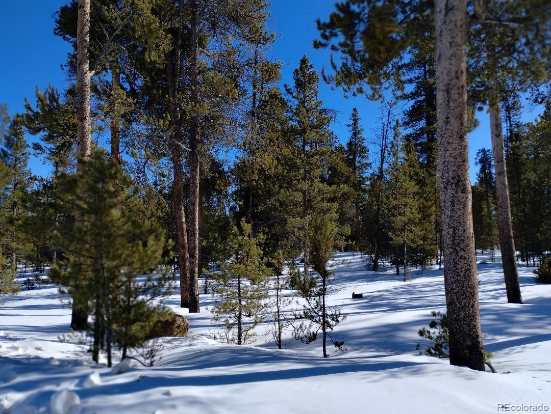 416 Cedar Drive Leadville CO 80461