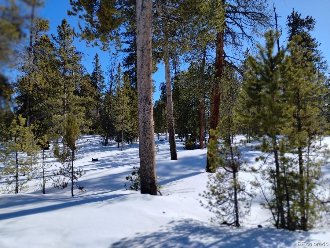 416 Cedar Drive Leadville CO 80461