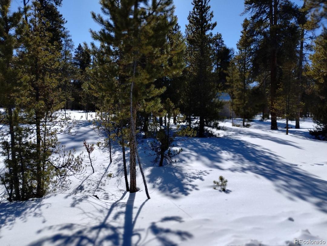 416 Cedar Drive Leadville CO 80461