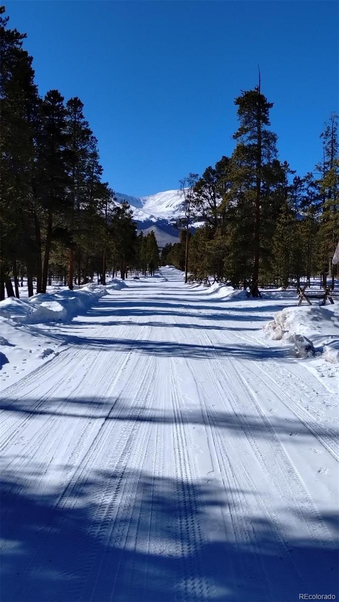 416 Cedar Drive Leadville CO 80461