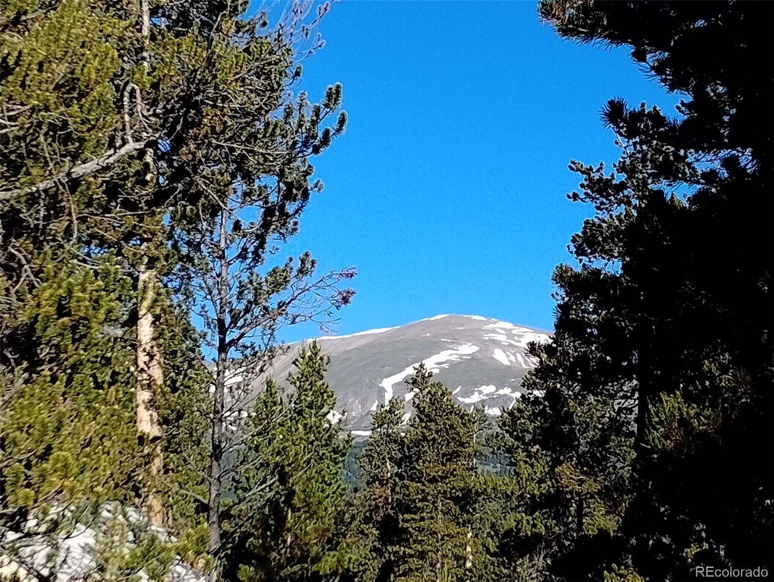 416 Cedar Drive Leadville CO 80461