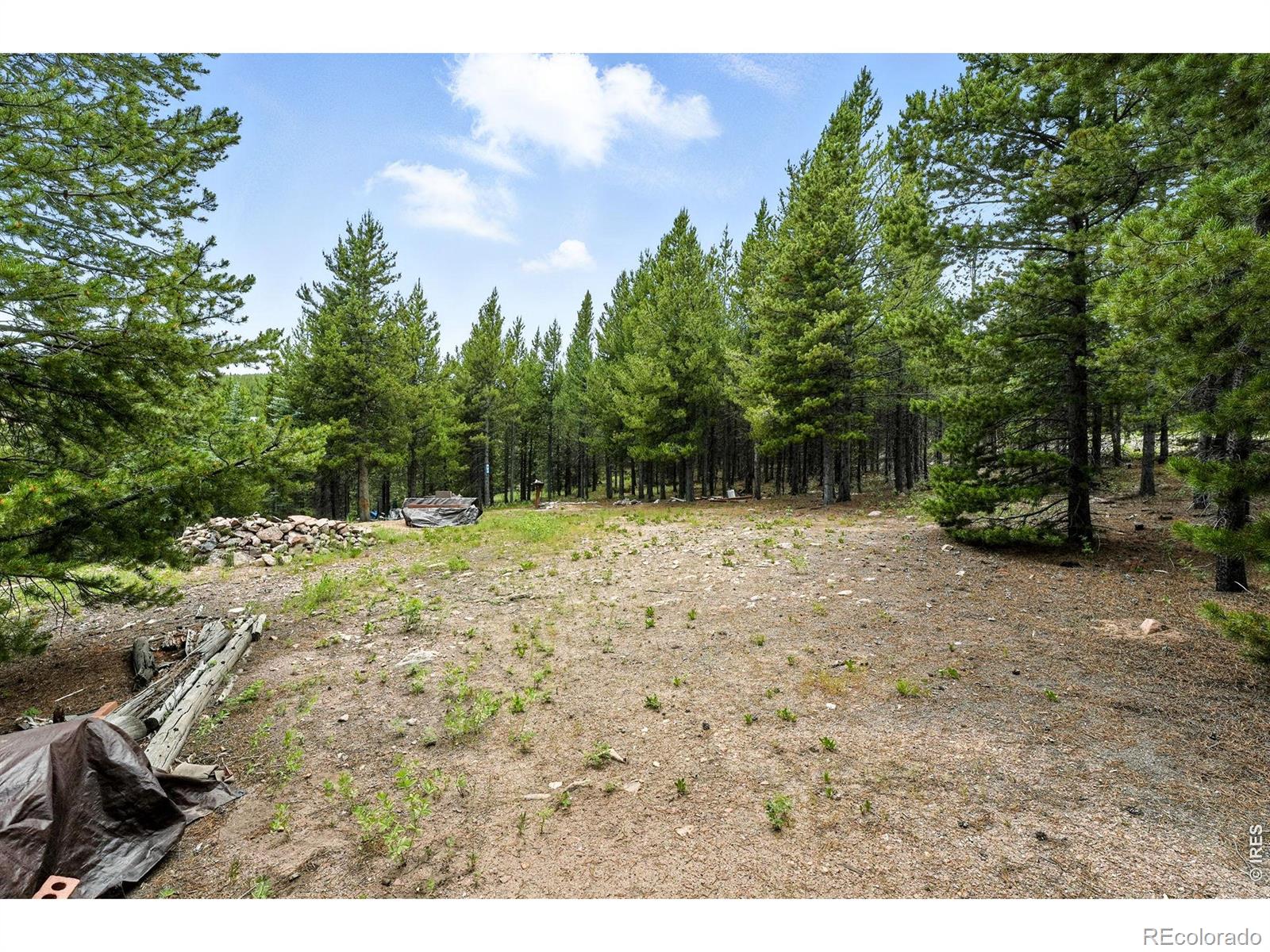 754 Mescalero Drive Red Feather Lakes CO 80545