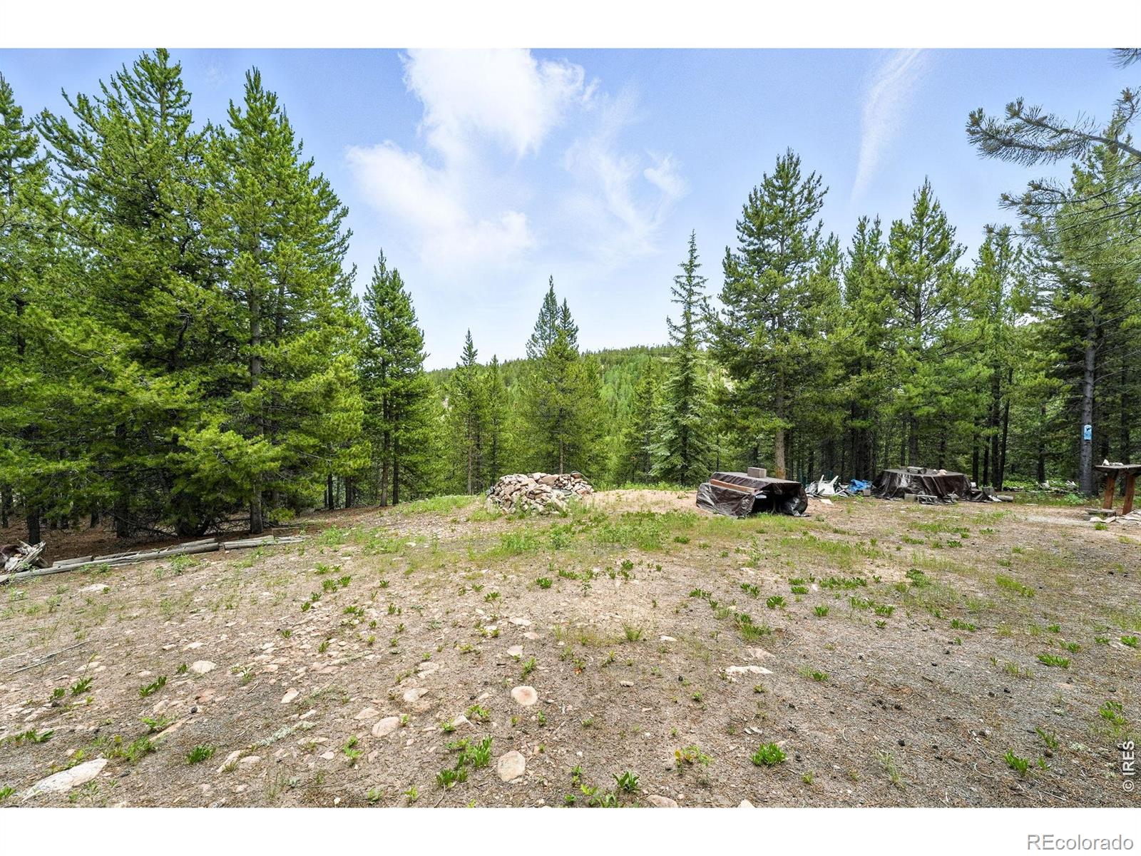 754 Mescalero Drive Red Feather Lakes CO 80545