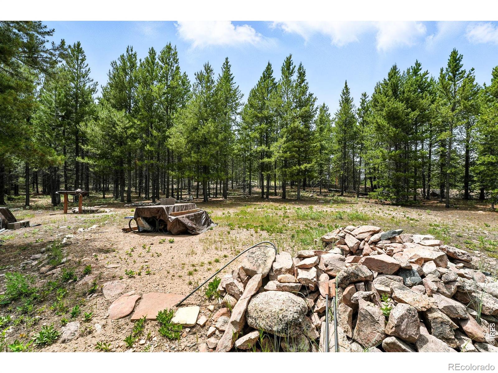 754 Mescalero Drive Red Feather Lakes CO 80545