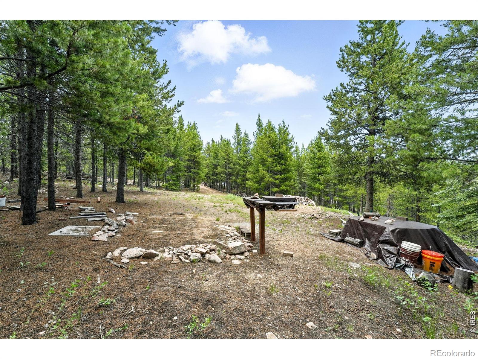 754 Mescalero Drive Red Feather Lakes CO 80545