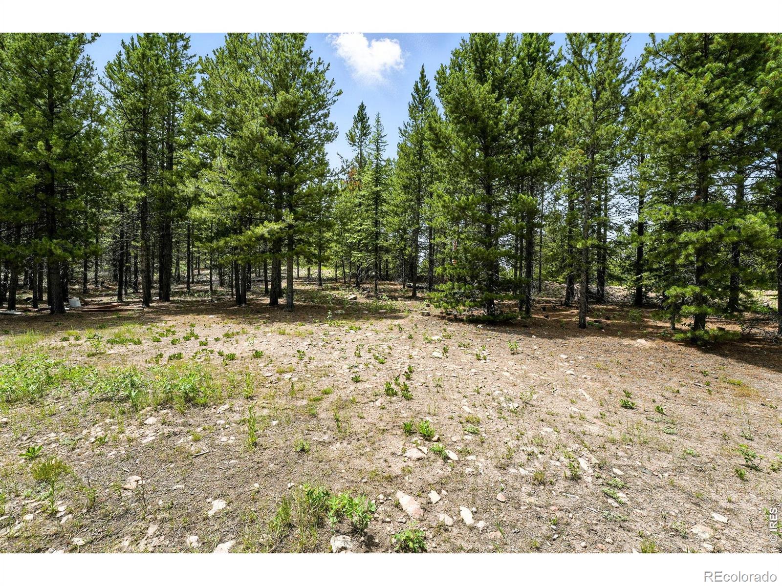 754 Mescalero Drive Red Feather Lakes CO 80545