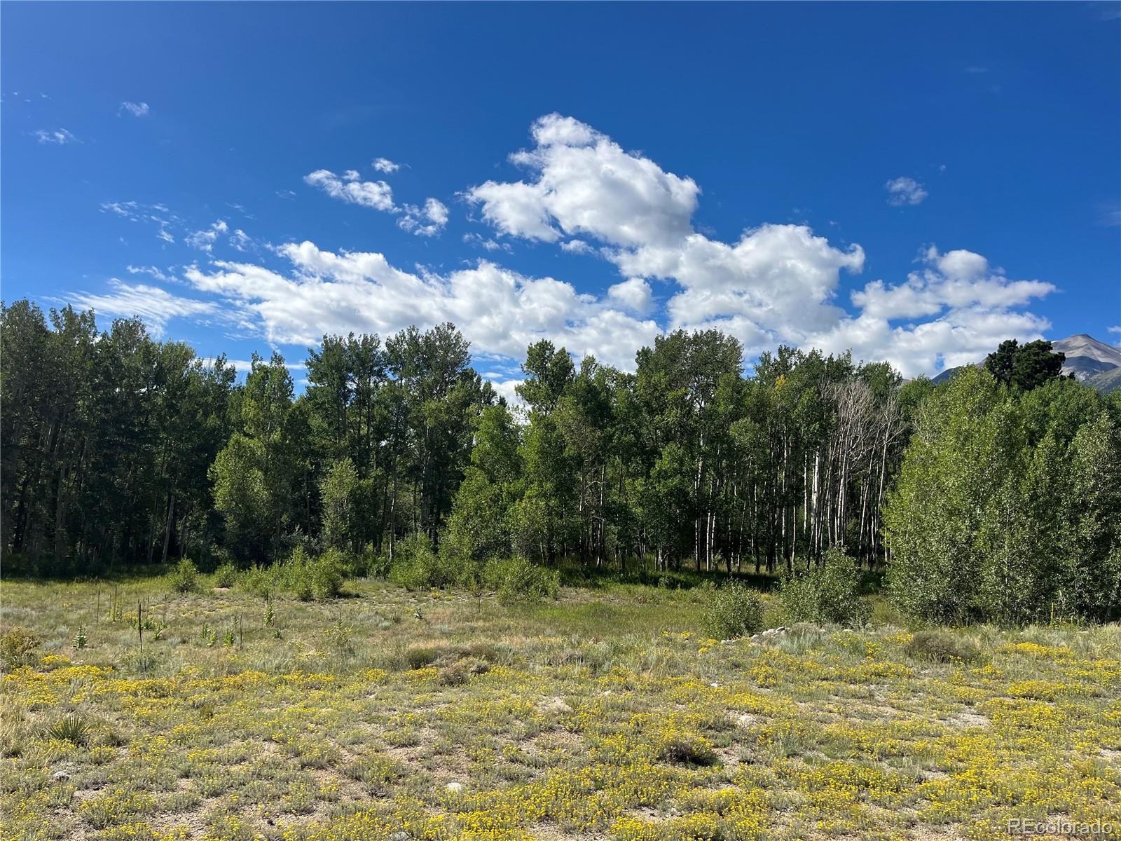 17541 Trout Circle Buena Vista CO 81211