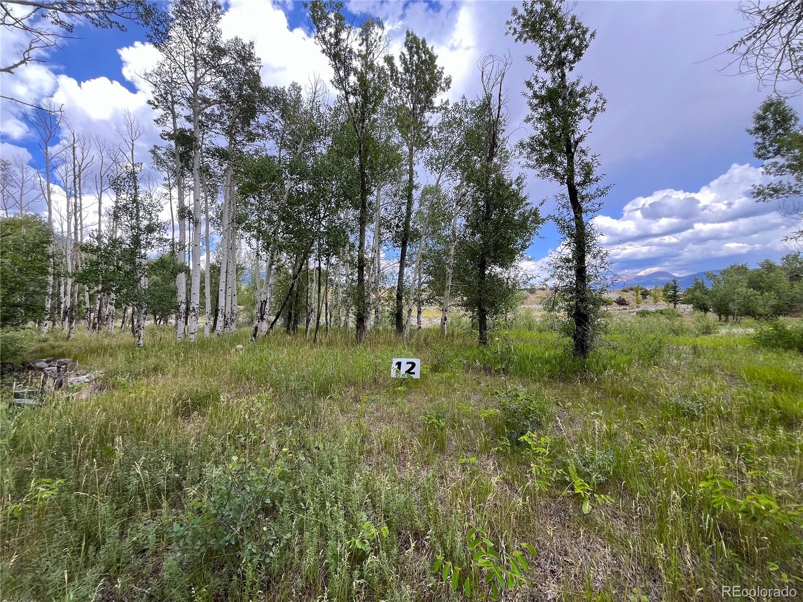 17541 Trout Circle Buena Vista CO 81211
