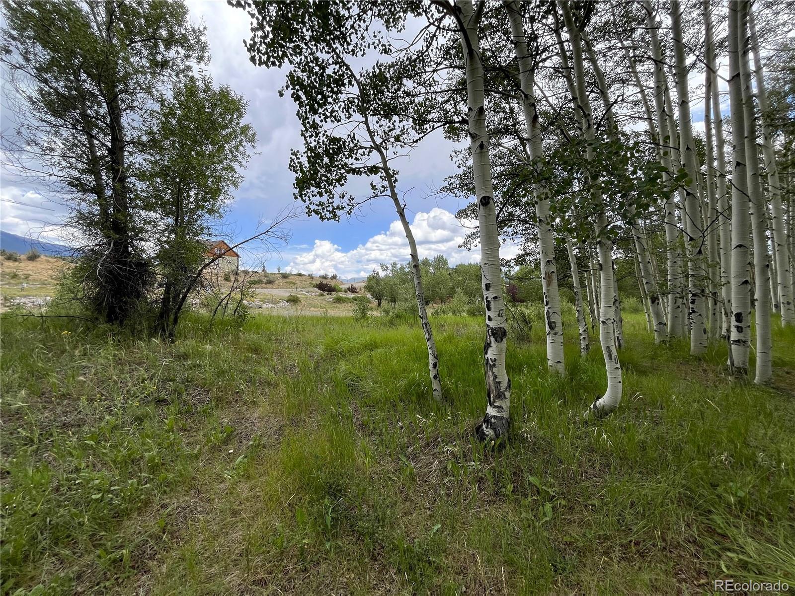 17541 Trout Circle Buena Vista CO 81211