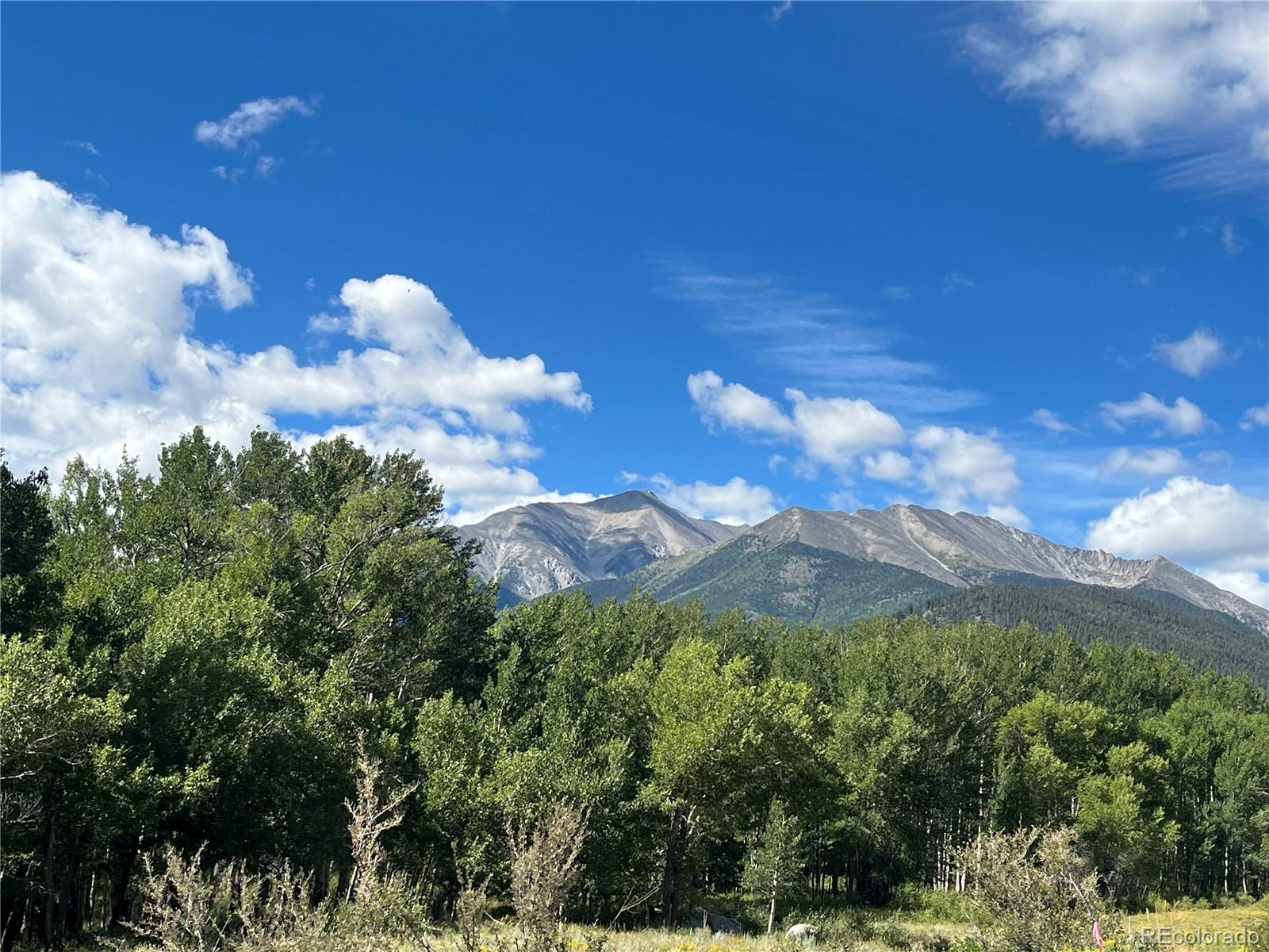 17541 Trout Circle Buena Vista CO 81211