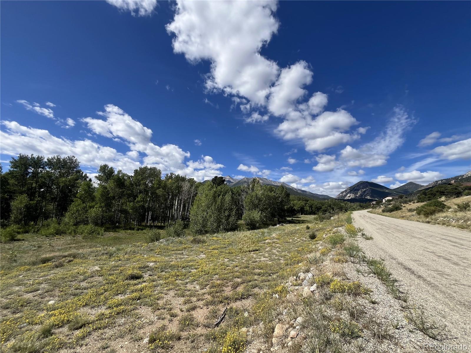17541 Trout Circle Buena Vista CO 81211