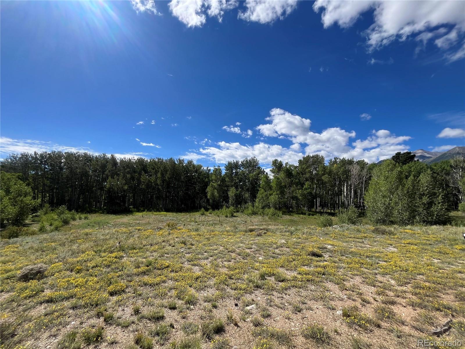 17541 Trout Circle Buena Vista CO 81211