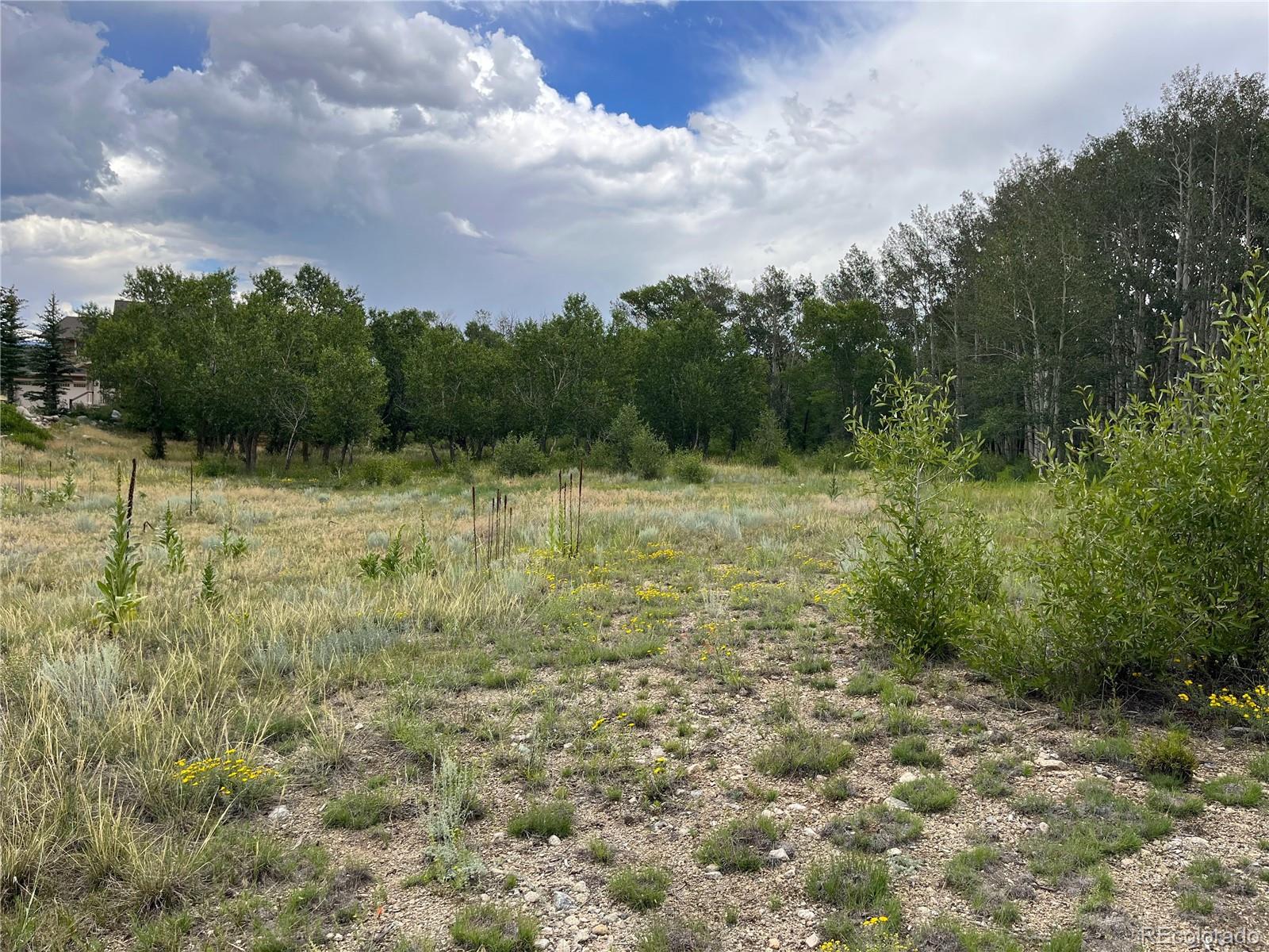 17541 Trout Circle Buena Vista CO 81211
