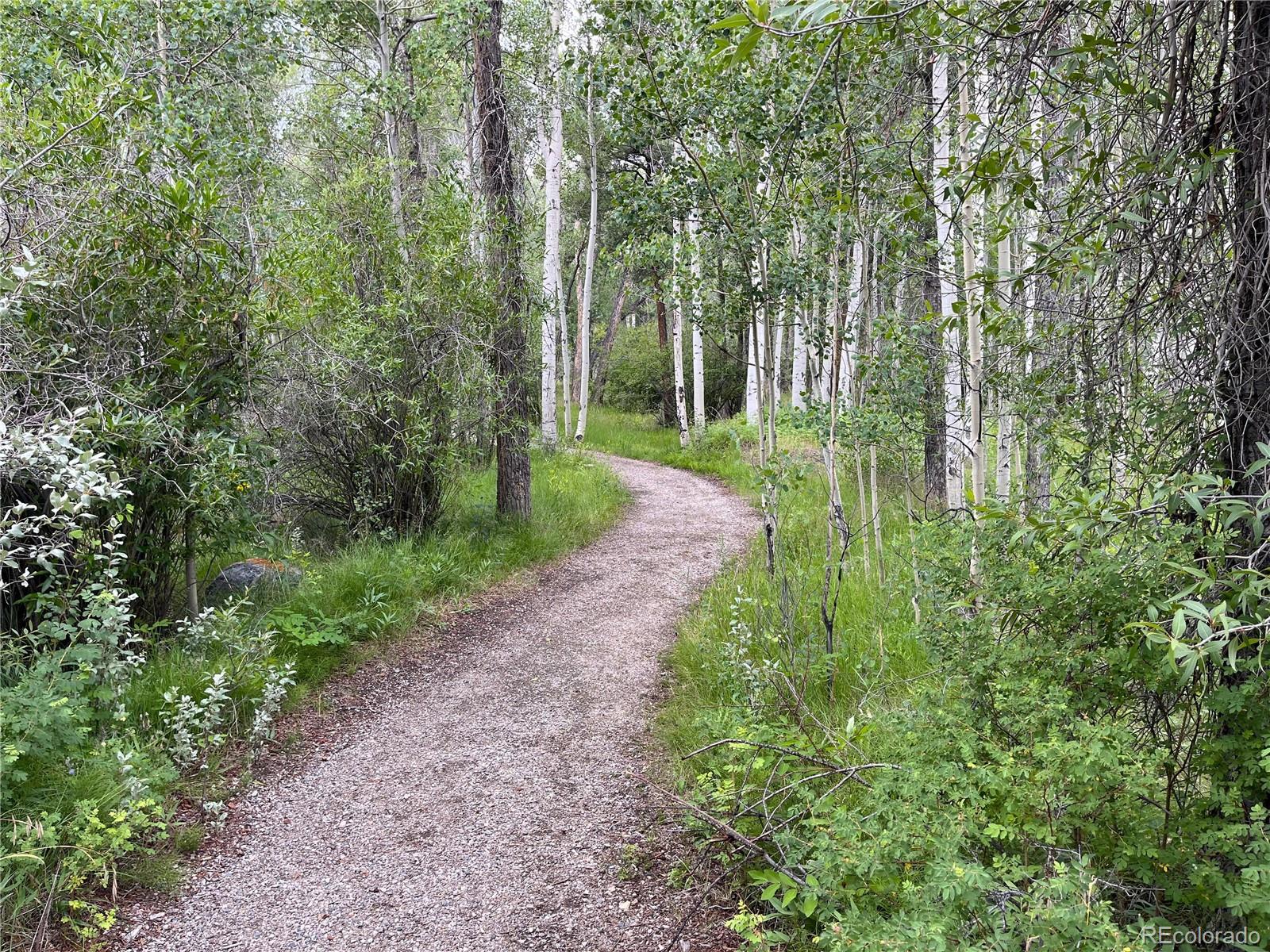 17541 Trout Circle Buena Vista CO 81211