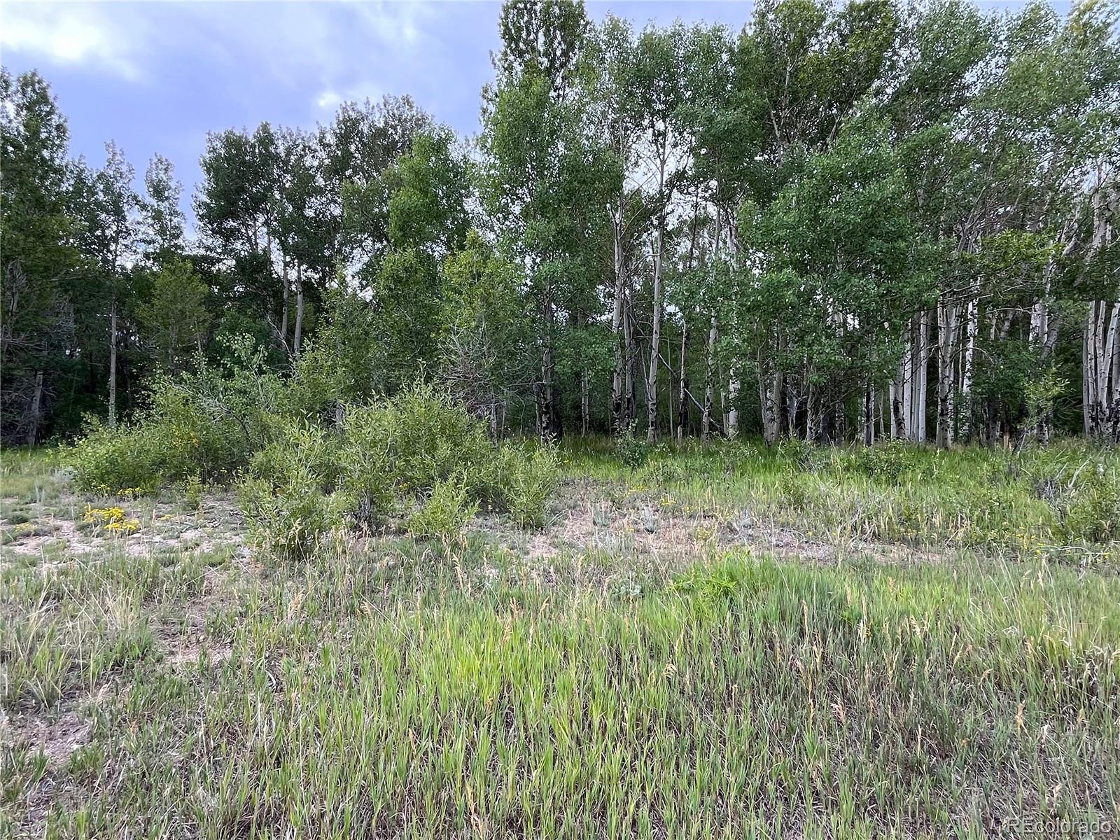 17541 Trout Circle Buena Vista CO 81211