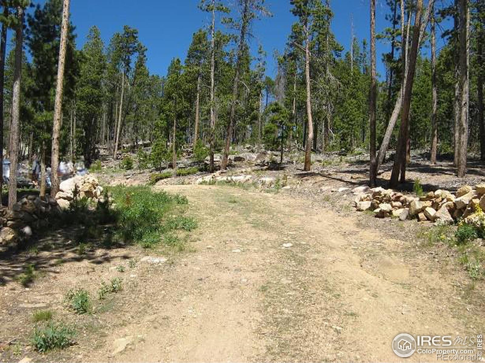 1244 Mosquito Drive Red Feather Lakes CO 80545