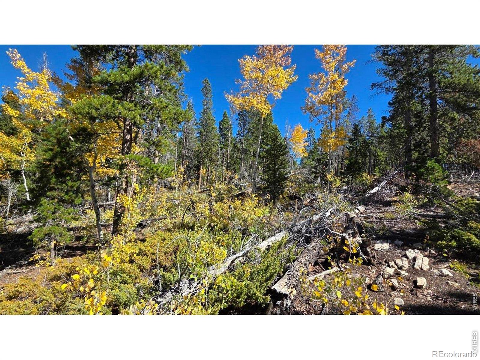 1367 Osage Trail Red Feather Lakes CO 80545
