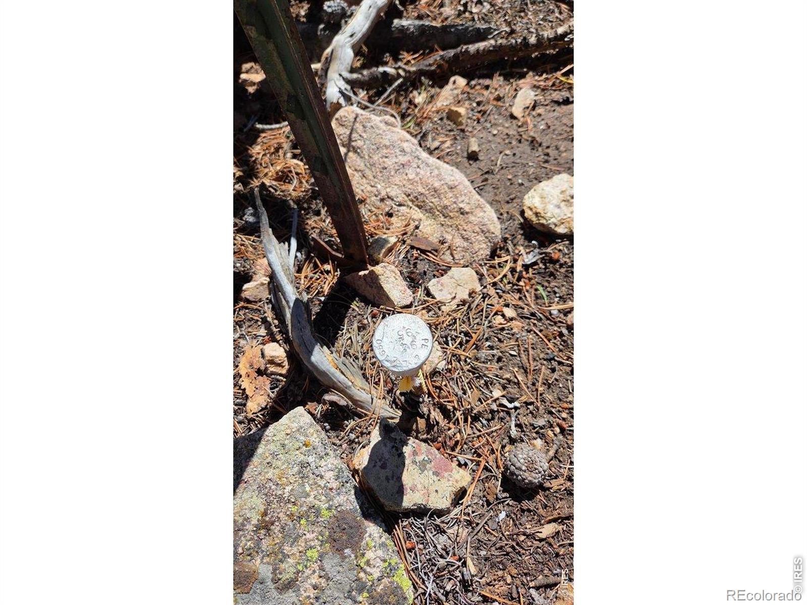 1367 Osage Trail Red Feather Lakes CO 80545