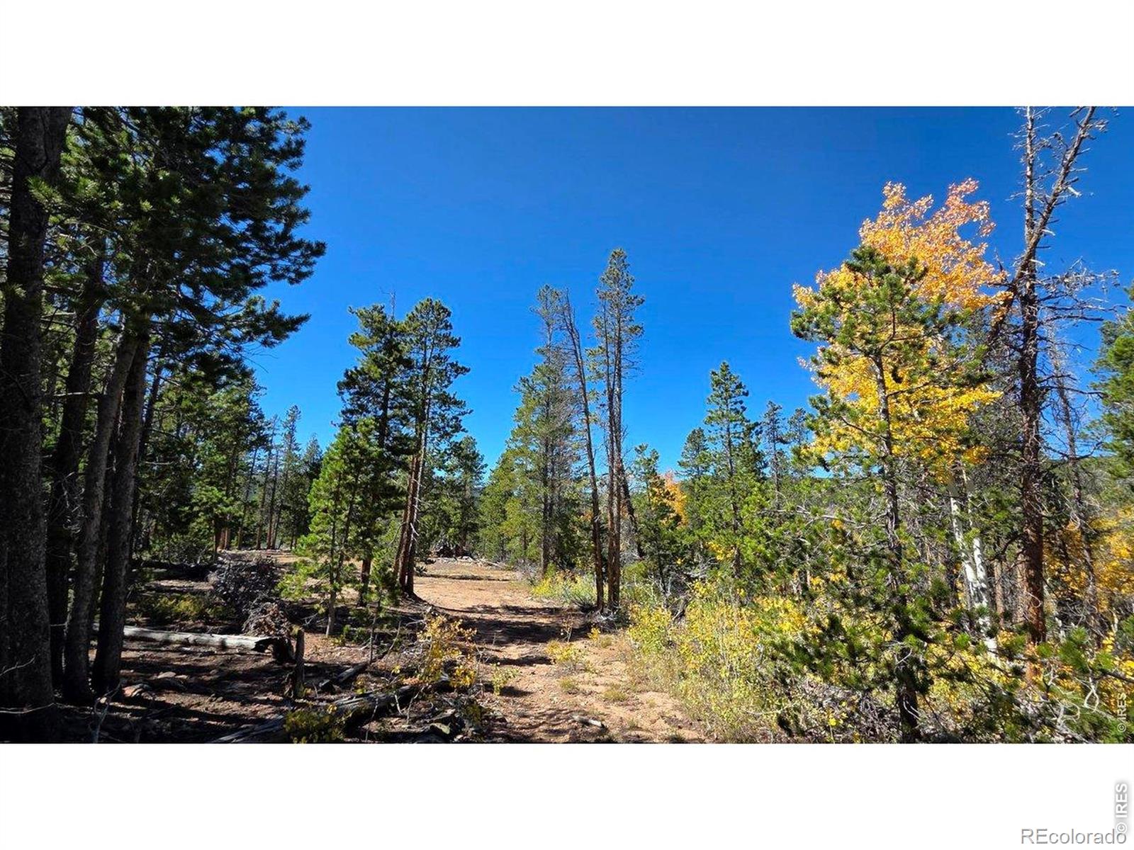 1367 Osage Trail Red Feather Lakes CO 80545