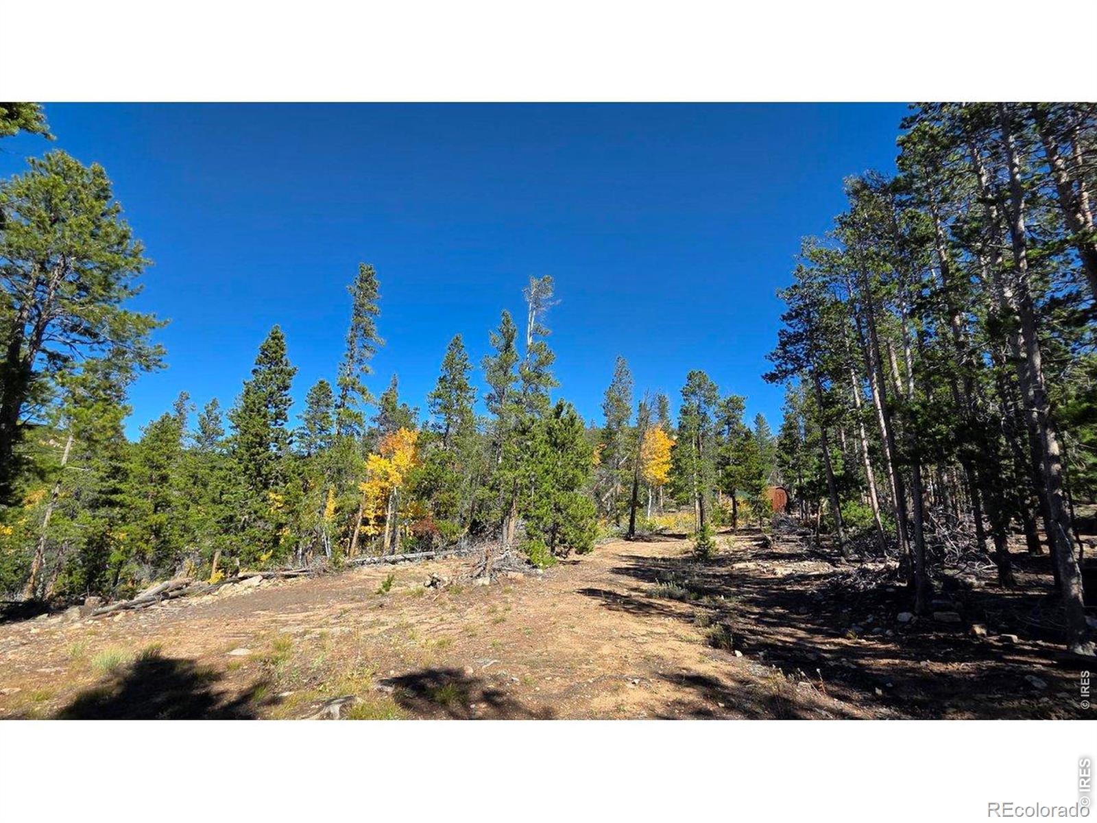 1367 Osage Trail Red Feather Lakes CO 80545