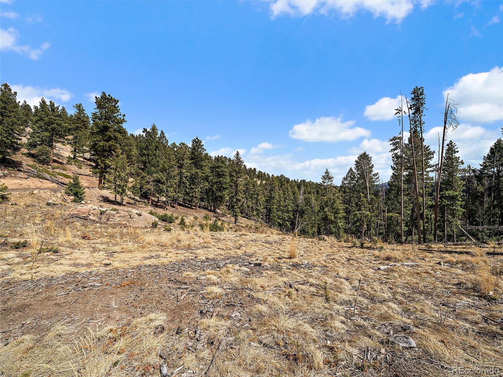 32634 Lodgepole Circle Evergreen CO 80439