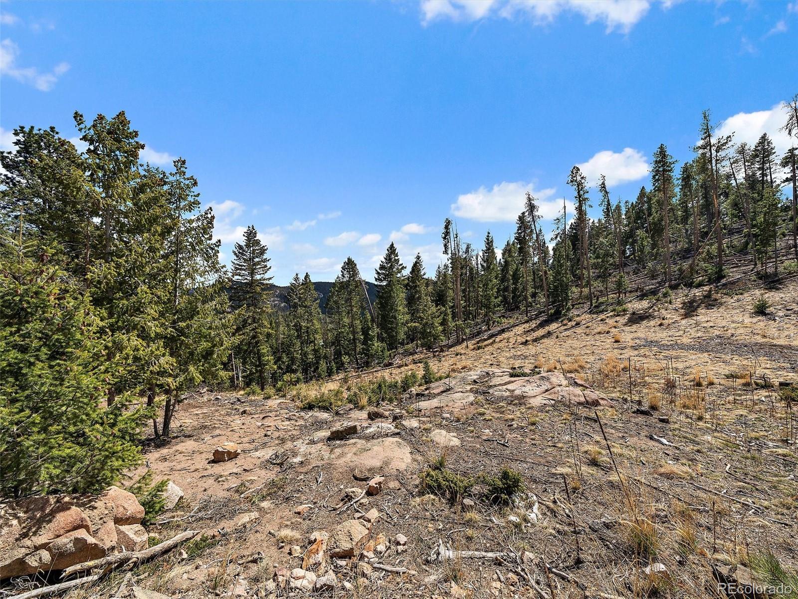 32634 Lodgepole Circle Evergreen CO 80439