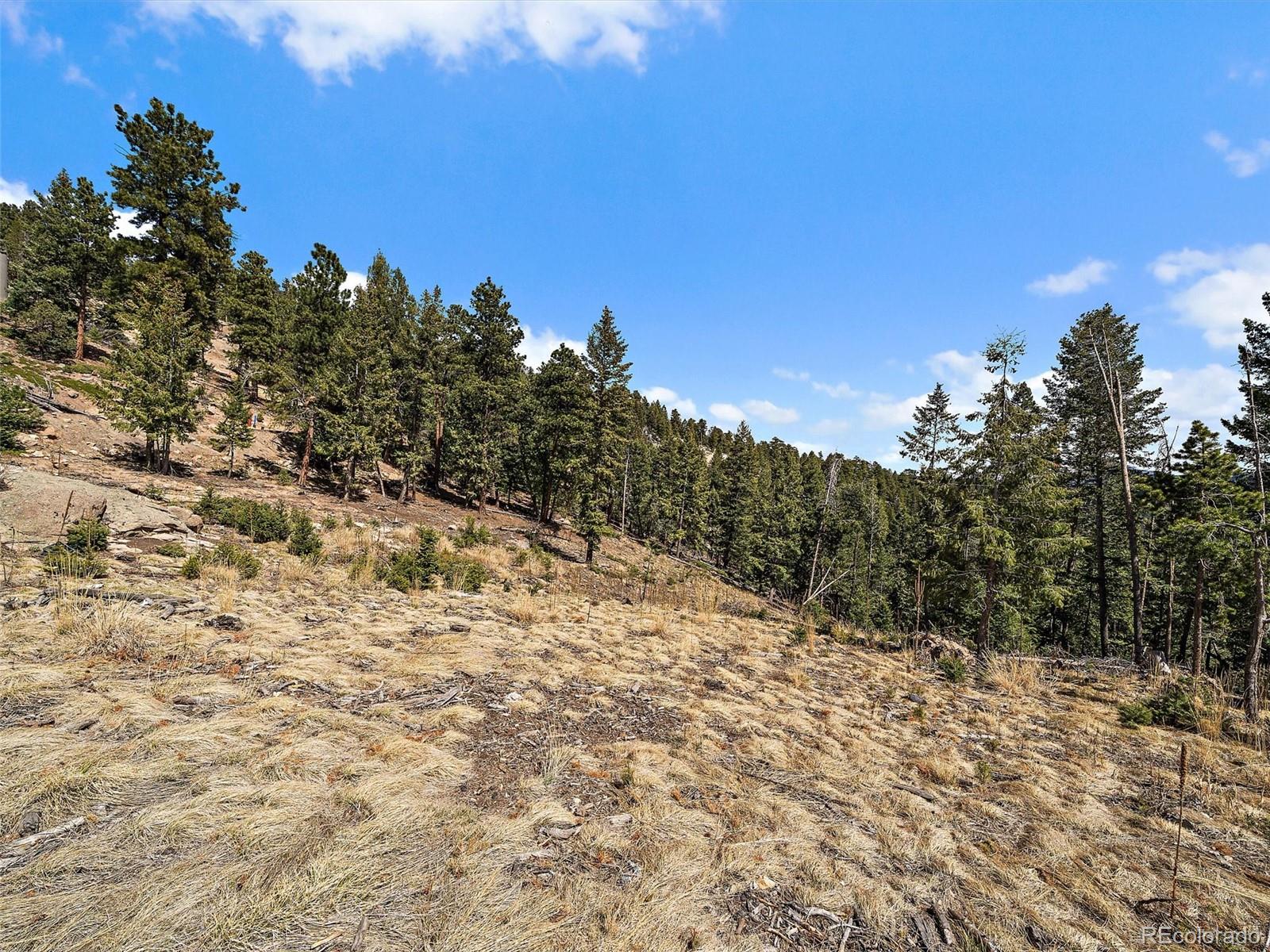32634 Lodgepole Circle Evergreen CO 80439