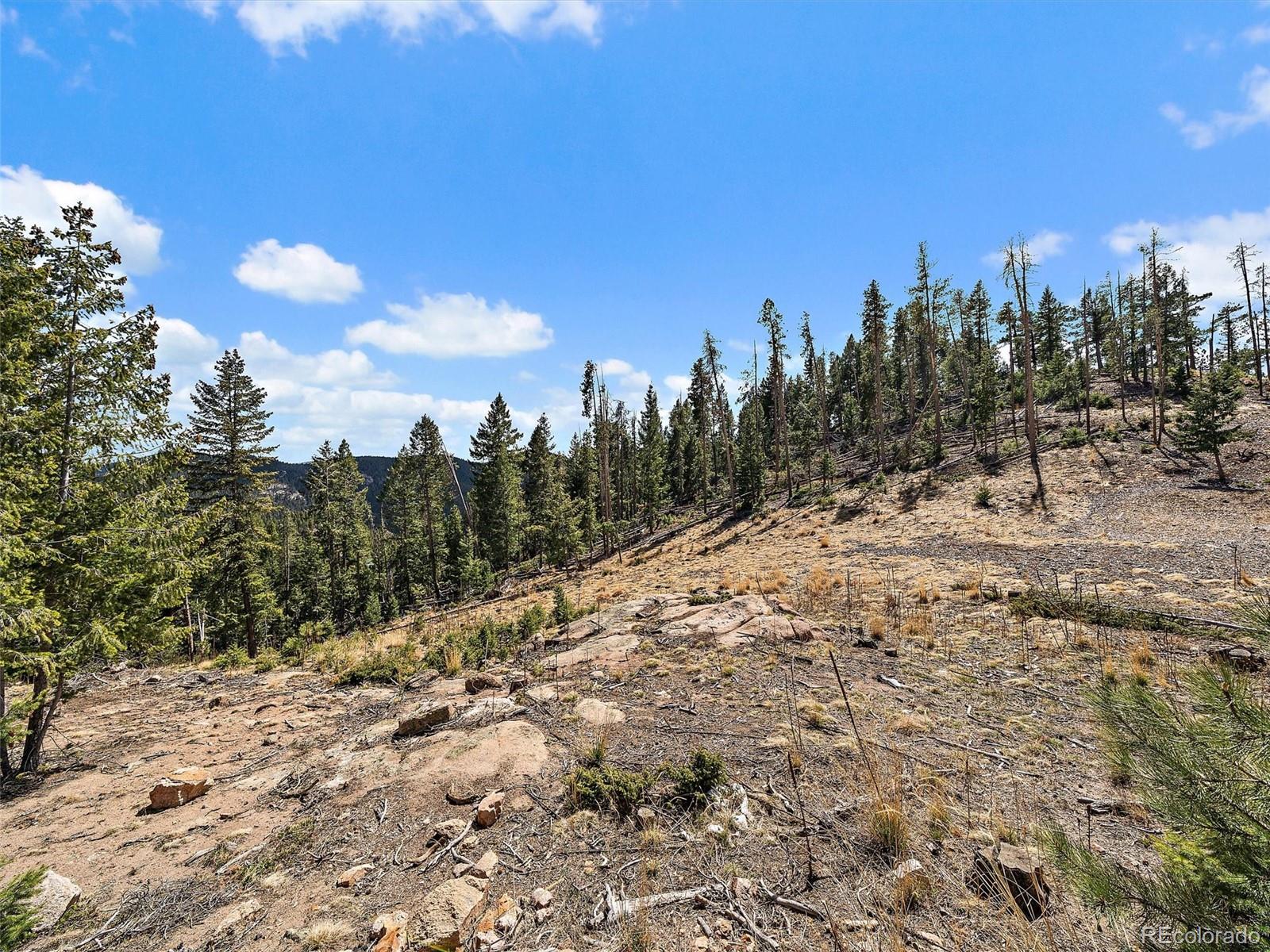 32634 Lodgepole Circle Evergreen CO 80439