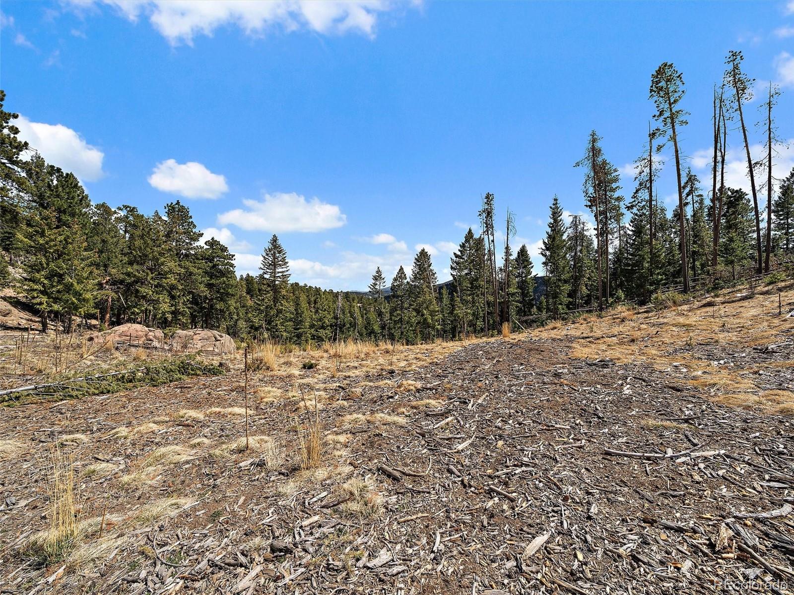 32634 Lodgepole Circle Evergreen CO 80439