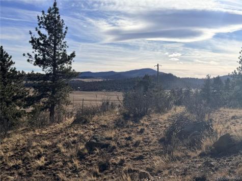 729 Bridle Path Hartsel CO 80449
