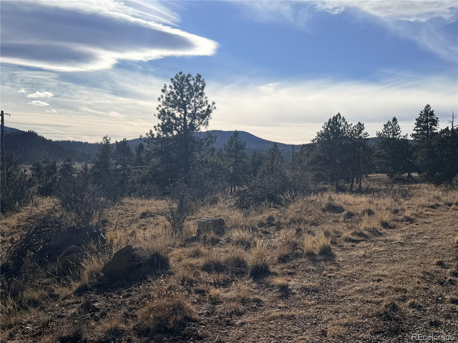 729 Bridle Path Hartsel CO 80449