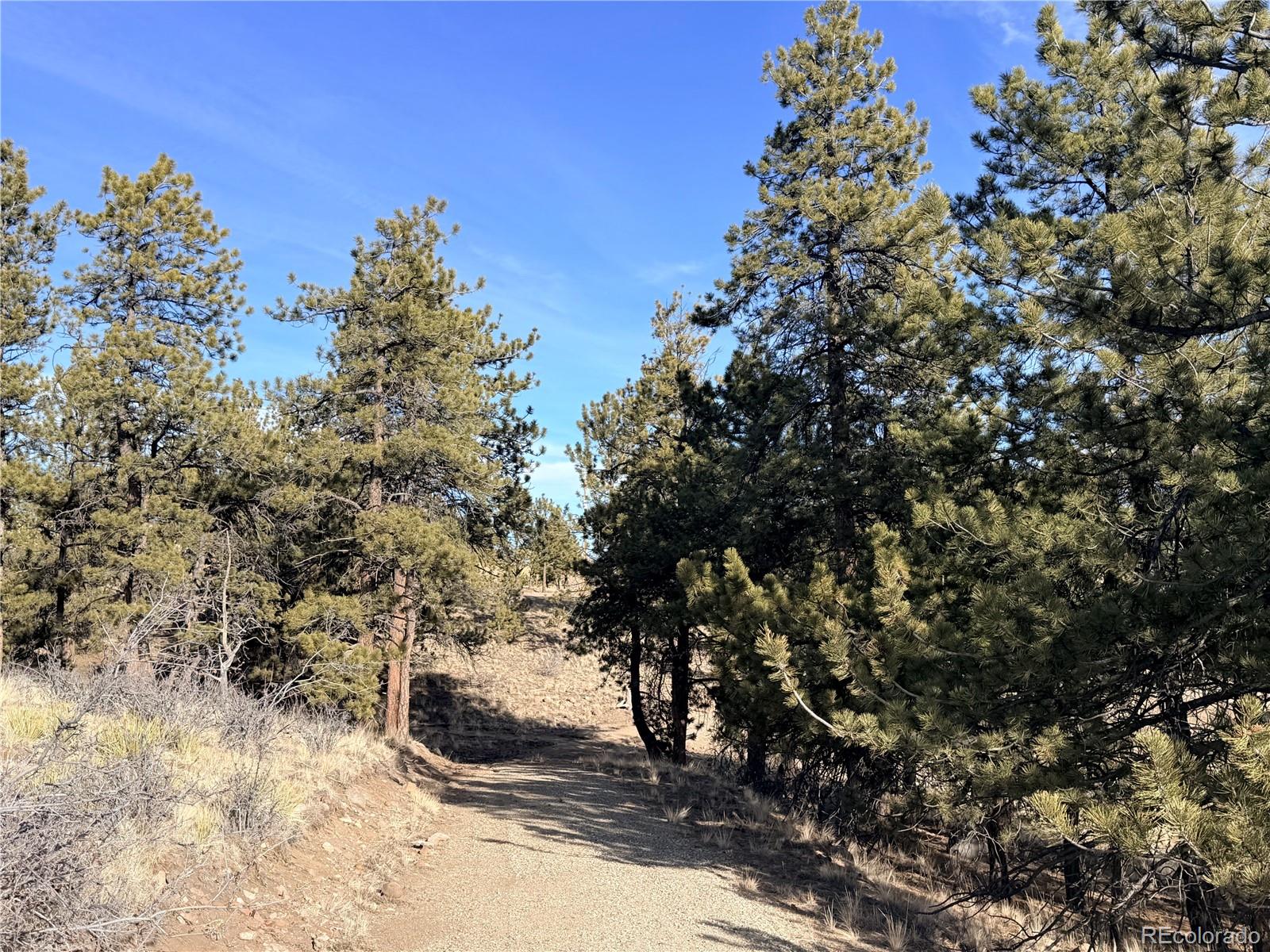 729 Bridle Path Hartsel CO 80449