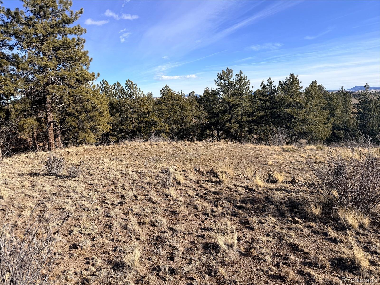 729 Bridle Path Hartsel CO 80449