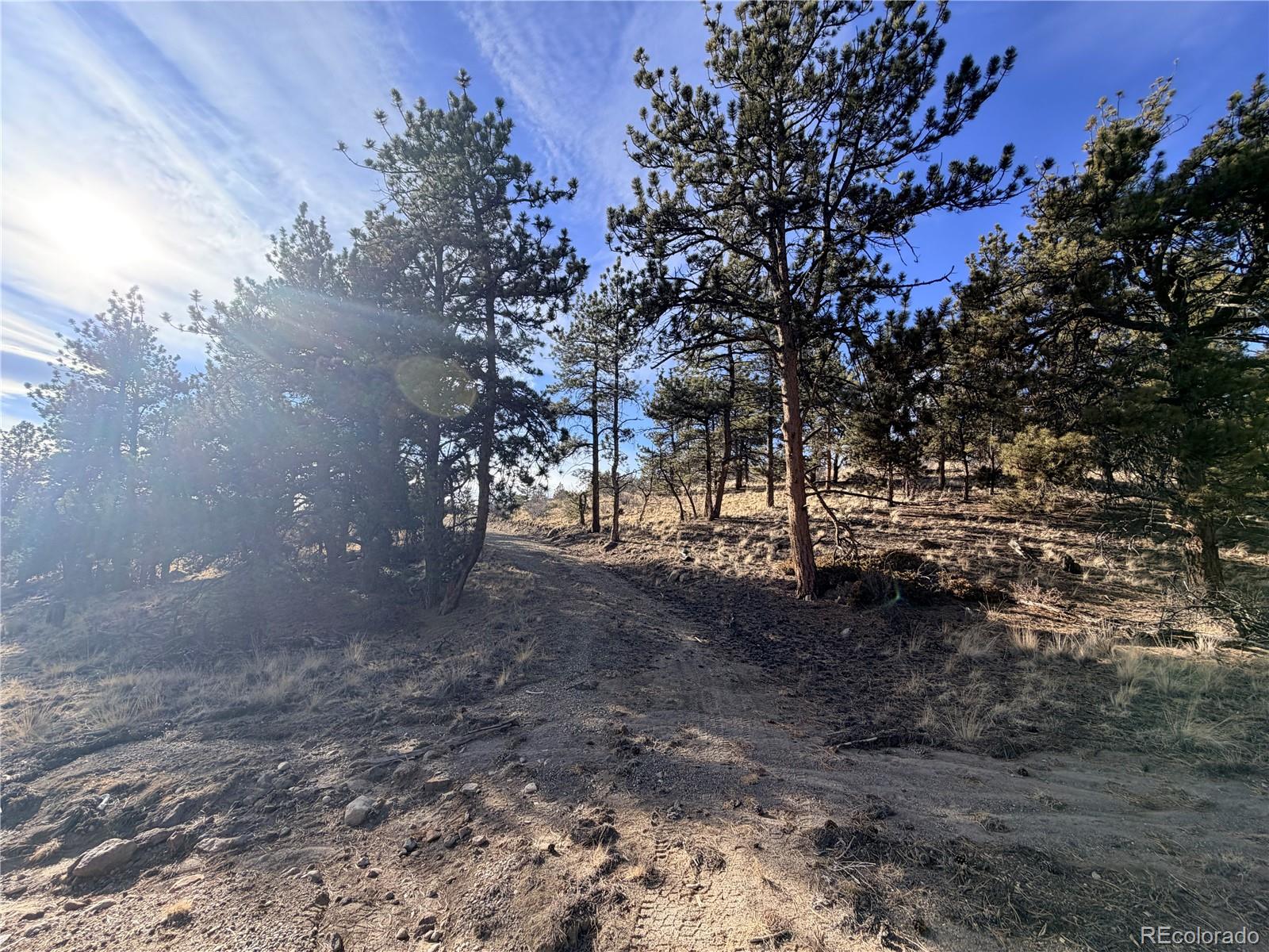 729 Bridle Path Hartsel CO 80449