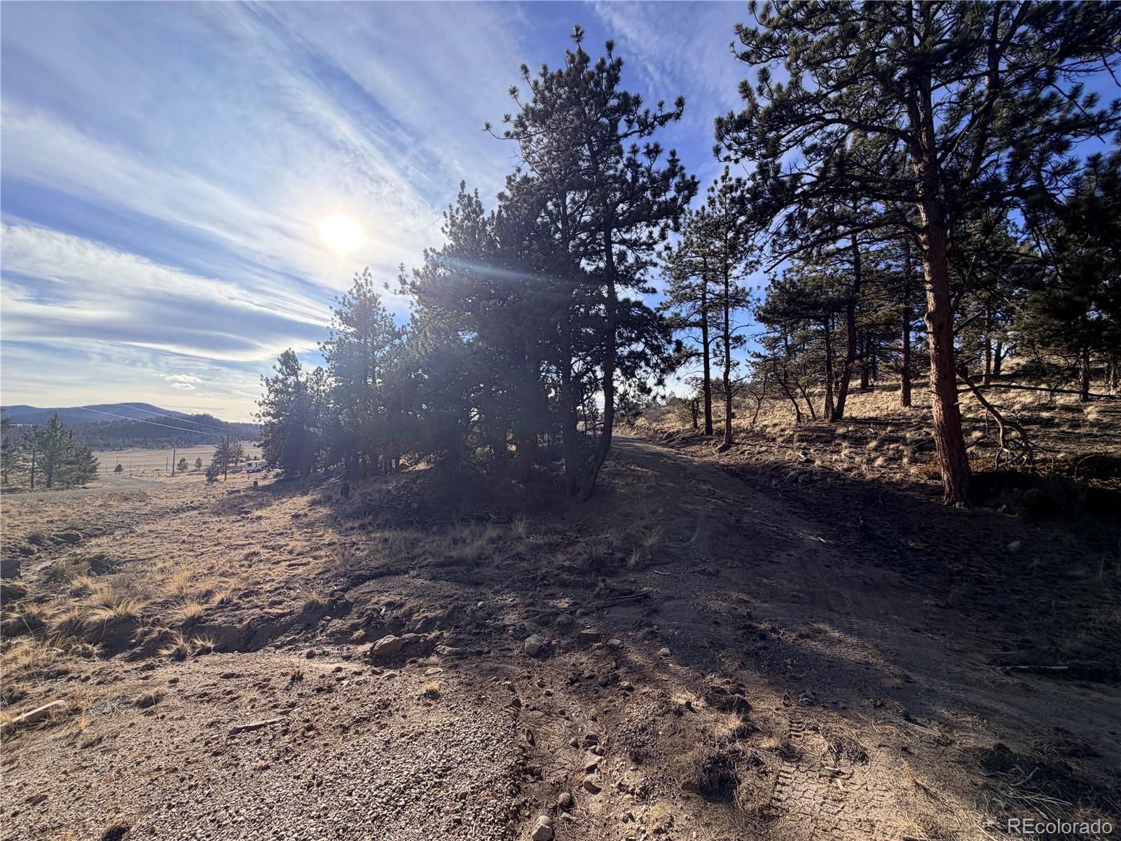 729 Bridle Path Hartsel CO 80449