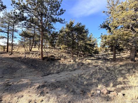 729 Bridle Path Hartsel CO 80449