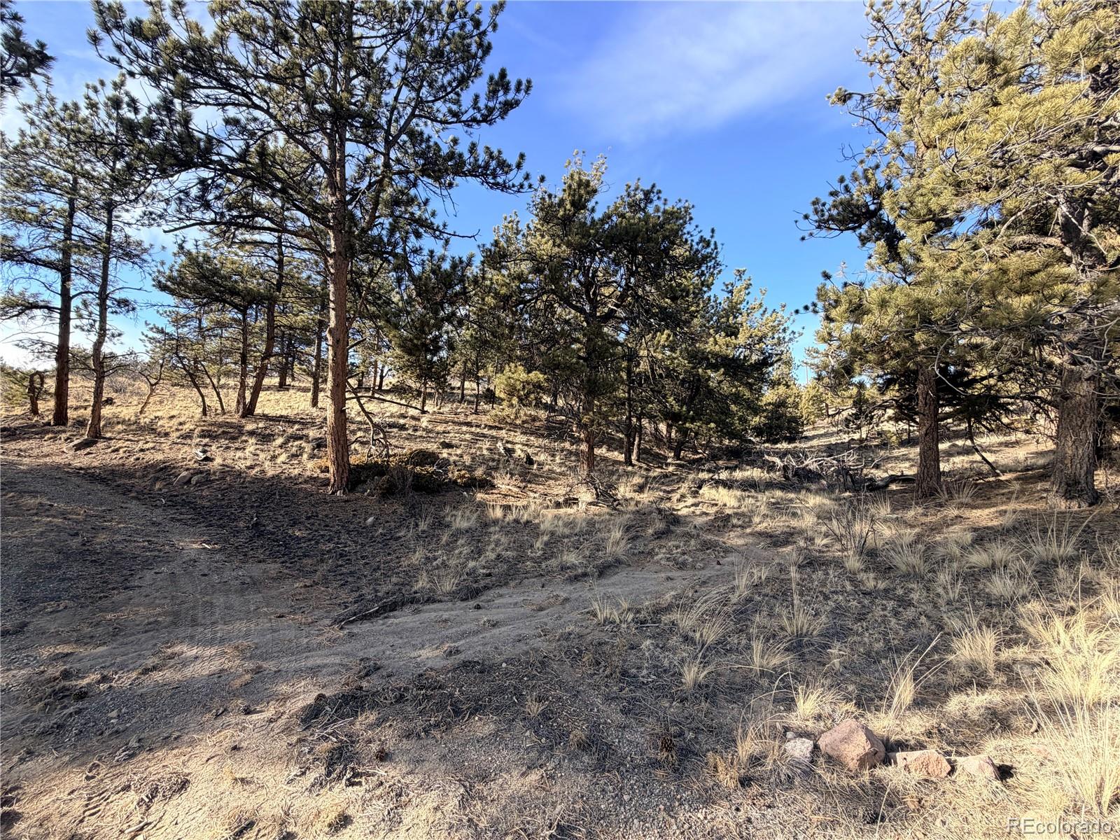 729 Bridle Path Hartsel CO 80449