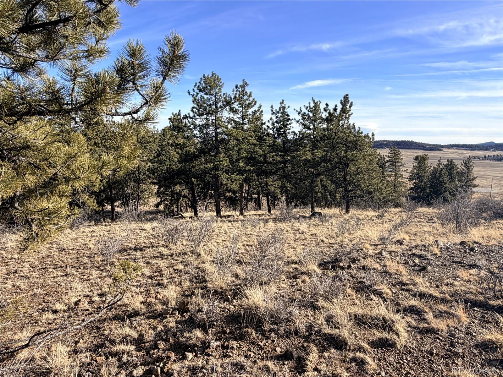 729 Bridle Path Hartsel CO 80449